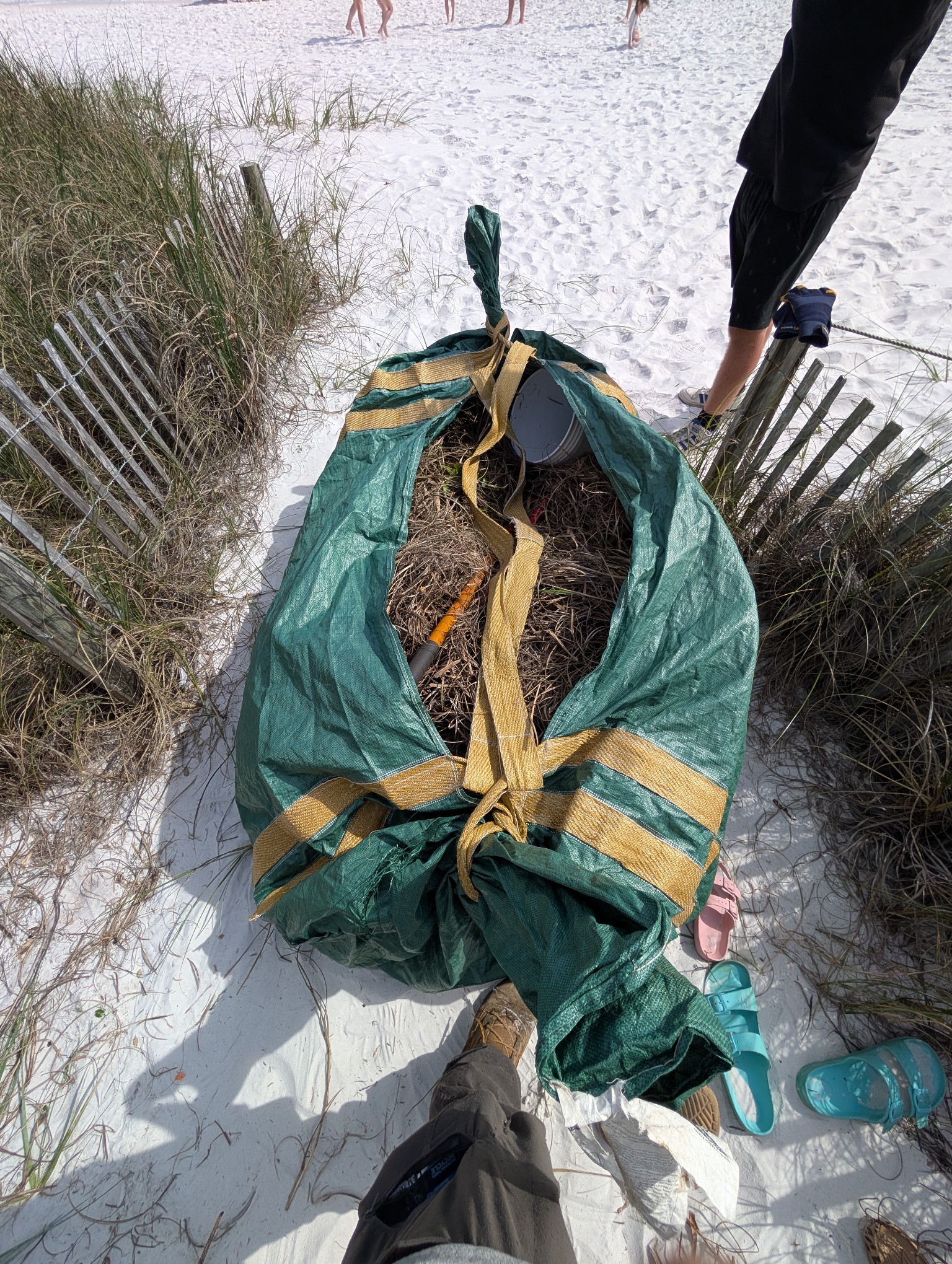 Bagster full of dethatched vegetation and dead flower stalks