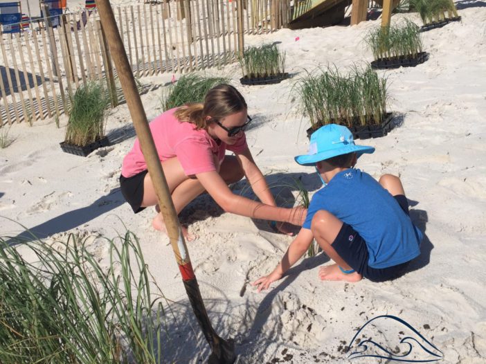 An older sister helps her brother install a sea oat