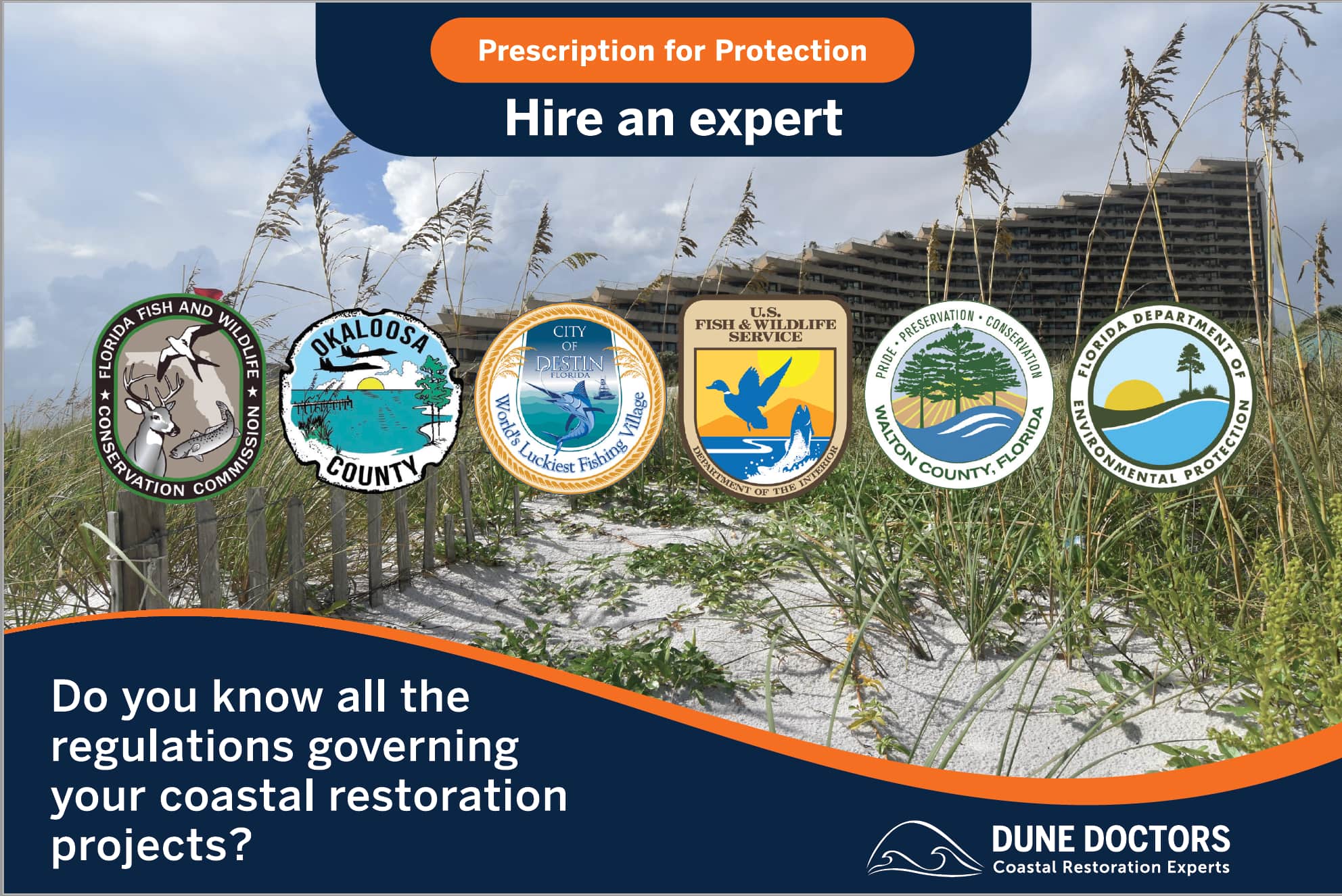 Our Services as Expert in Coastal Restoration - Dune Doctors