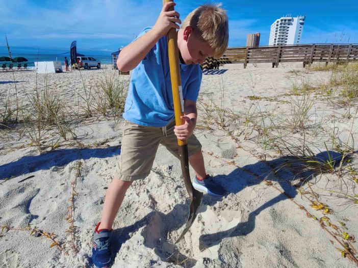 An Orange Beach elementary school student digs a hole to plant native dune vegetation