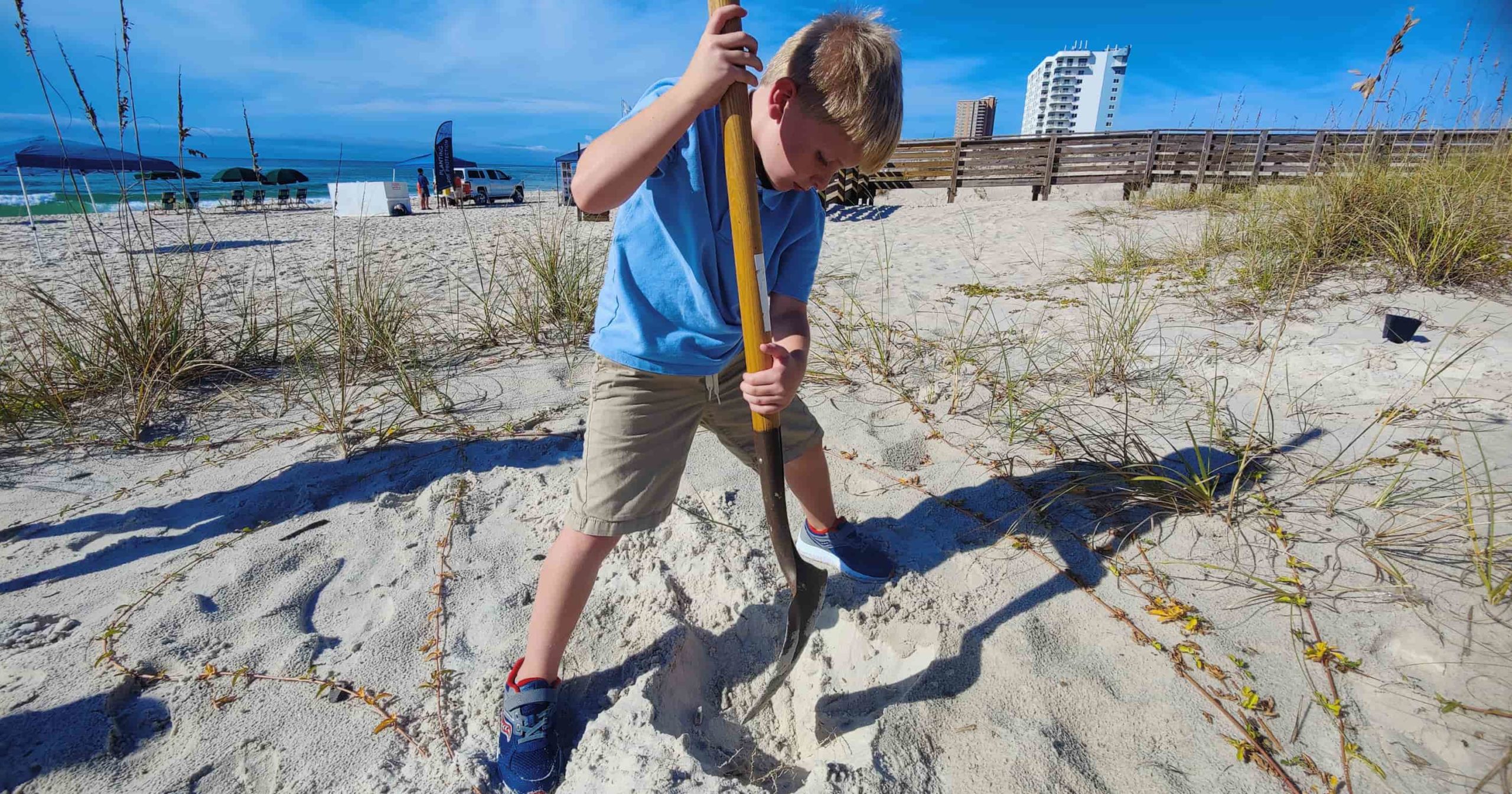 An Orange Beach elementary school student digs a hole to plant native dune vegetation